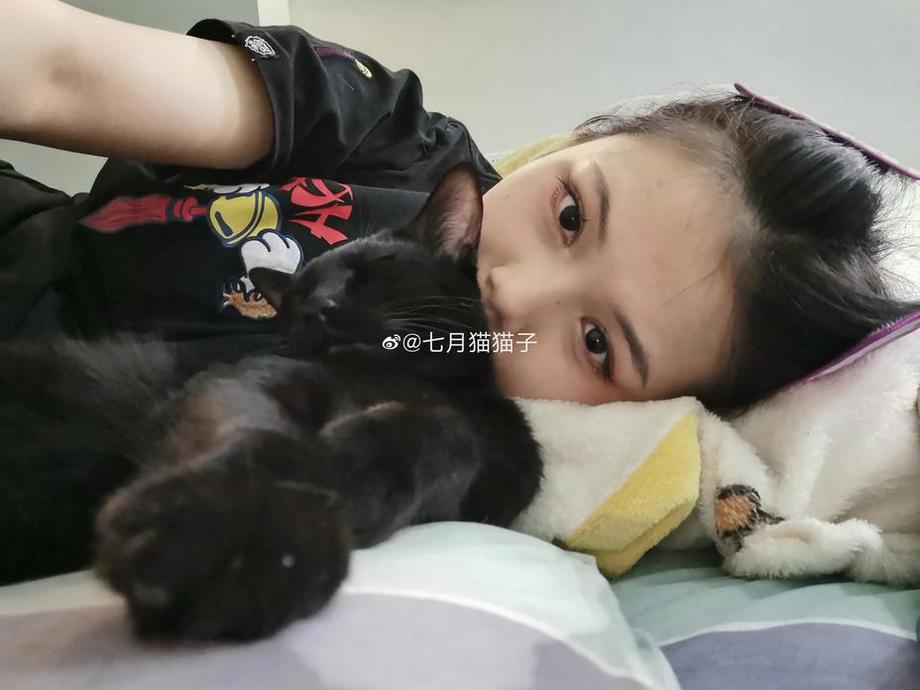 七月猫猫子无水印，一组精美原图图片，无可挑剔。